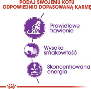 Royal Canin ROYAL CANIN Sensible 33 2x10kg karma sucha dla kotów dorosłych, o wrażliwym przewodzie pokarmowym 6