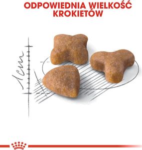 Royal Canin ROYAL CANIN Sensible 33 2x10kg karma sucha dla kotów dorosłych, o wrażliwym przewodzie pokarmowym 7