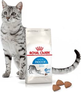 Royal Canin ROYAL CANIN Indoor 27 2x10kg karma sucha dla kotów dorosłych, przebywających wyłącznie w domu 4
