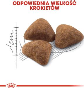 Royal Canin ROYAL CANIN Indoor 27 2x10kg karma sucha dla kotów dorosłych, przebywających wyłącznie w domu 8