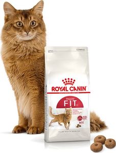 Royal Canin ROYAL CANIN FIT 32 2x10kg karma sucha dla kotów dorosłych, wspierająca idealną kondycję 4