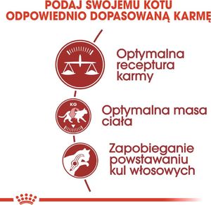 Royal Canin ROYAL CANIN FIT 32 2x10kg karma sucha dla kotów dorosłych, wspierająca idealną kondycję 7