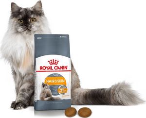 Royal Canin ROYAL CANIN Hair&Skin Care 2x10kg karma sucha dla kotów dorosłych, lśniąca sierść i zdrowa skóra 4