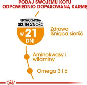 Royal Canin ROYAL CANIN Hair&Skin Care 2x10kg karma sucha dla kotów dorosłych, lśniąca sierść i zdrowa skóra 7