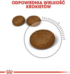 Royal Canin ROYAL CANIN Hair&Skin Care 2x10kg karma sucha dla kotów dorosłych, lśniąca sierść i zdrowa skóra 8