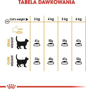 Royal Canin ROYAL CANIN Hair&Skin Care 2x10kg karma sucha dla kotów dorosłych, lśniąca sierść i zdrowa skóra 10