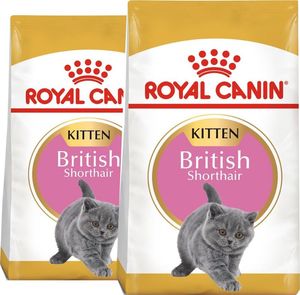 Royal Canin ROYAL CANIN British Shorthair Kitten 2x10kg karma sucha dla kociąt, do 12 miesiąca, rasy brytyjski krótkowłosy 1