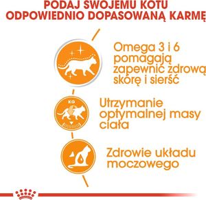 Royal Canin ROYAL CANIN Intense Beauty 24x85g w galaretce karma mokra dla kotów dorosłych, zdrowa skóra, piękna sierść 3