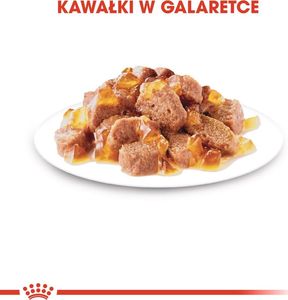 Royal Canin ROYAL CANIN Intense Beauty 24x85g w galaretce karma mokra dla kotów dorosłych, zdrowa skóra, piękna sierść 4