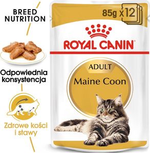 Royal Canin ROYAL CANIN Maine Coon Adult saszetka 24x85g (Sos) 1