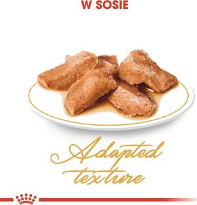 Royal Canin ROYAL CANIN Maine Coon Adult saszetka 24x85g (Sos) 3