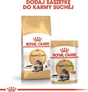 Royal Canin ROYAL CANIN Maine Coon Adult saszetka 24x85g (Sos) 5
