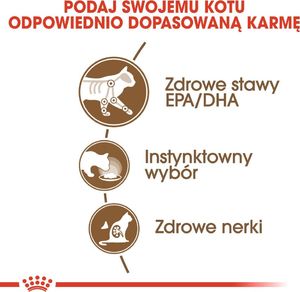 Royal Canin ROYAL CANIN Ageing +12 24x85g karma mokra w sosie dla kotów dojrzałych 7