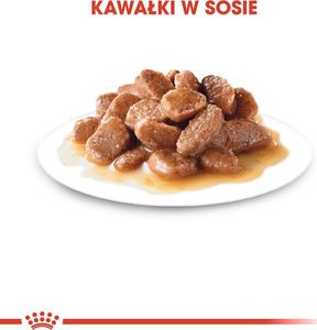 Royal Canin ROYAL CANIN Ageing +12 24x85g karma mokra w sosie dla kotów dojrzałych 8