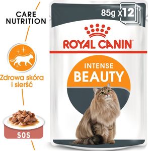 Royal Canin ROYAL CANIN Intense Beauty 24x85g karma mokra w sosie dla kotów dorosłych, zdrowa skóra, piękna sierść 1