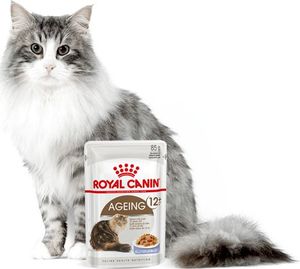 Royal Canin ROYAL CANIN Ageing +12 24x85g karma mokra w galaretce dla kotów dojrzałych 4