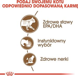 Royal Canin ROYAL CANIN Ageing +12 24x85g karma mokra w galaretce dla kotów dojrzałych 7
