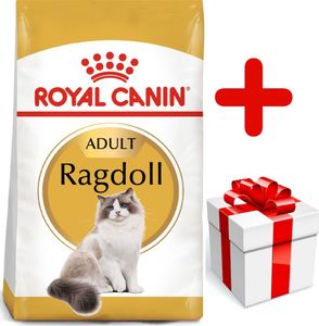 Royal Canin ROYAL CANIN Ragdoll Adult 10kg karma sucha dla kotów dorosłych rasy ragdoll + niespodzianka dla kota GRATIS! 1