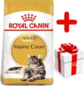 Royal Canin ROYAL CANIN Maine Coon Adult 10kg + niespodzianka dla kota GRATIS! 1