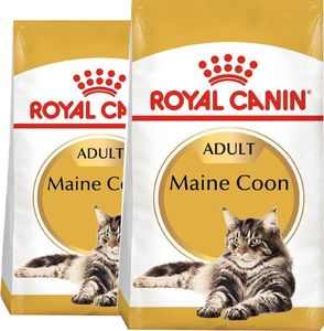 Royal Canin ROYAL CANIN Maine Coon Adult 2x10kg karma sucha dla kotów dorosłych rasy maine coon 1