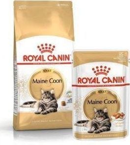 Royal Canin ROYAL CANIN Maine Coon Adult 10kg karma sucha dla kotów dorosłych rasy maine coon + saszetka Maine Coon Adult 12x85g 1