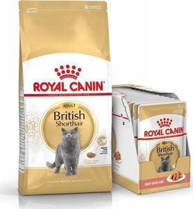 Royal Canin ROYAL CANIN British Shorthair 2kg + 12x British Shorthair Adult saszetka 85g (Sos) 1