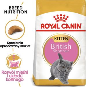 Royal Canin ROYAL CANIN British Shorthair Kitten 10kg + saszetka Kitten w galaretce 12x85g 1