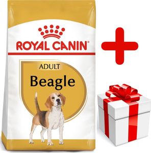 Royal Canin ROYAL CANIN Beagle Adult 12kg karma sucha dla psów dorosłych rasy beagle + niespodzianka dla psa GRATIS! 1