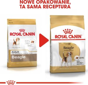Royal Canin ROYAL CANIN Beagle Adult 12kg karma sucha dla psów dorosłych rasy beagle + niespodzianka dla psa 11