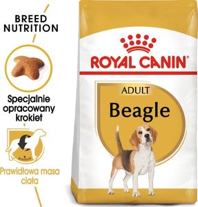 Royal Canin ROYAL CANIN Beagle Adult 12kg karma sucha dla psów dorosłych rasy beagle + niespodzianka dla psa 2