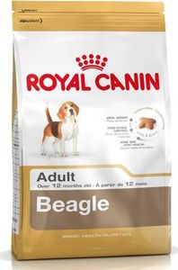 Royal Canin ROYAL CANIN Beagle Adult 12kg karma sucha dla psów dorosłych rasy beagle + niespodzianka dla psa 5