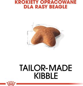 Royal Canin ROYAL CANIN Beagle Adult 12kg karma sucha dla psów dorosłych rasy beagle + niespodzianka dla psa 9