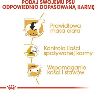 Royal Canin ROYAL CANIN Beagle Adult 12kg karma sucha dla psów dorosłych rasy beagle + niespodzianka dla psa 10