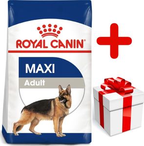 Royal Canin ROYAL CANIN Maxi Adult 15kg karma sucha dla psów dorosłych, do 5 roku życia, ras dużych + niespodzianka dla psa GRATIS! 1