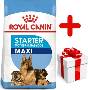 Royal Canin ROYAL CANIN Maxi Starter Mother&Babydog 15kg + niespodzianka dla psa GRATIS! 1