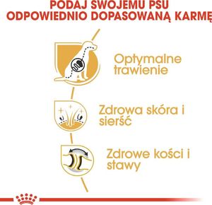 Royal Canin ROYAL CANIN German Shepherd Adult 11kg karma sucha dla psów dorosłych rasy owczarek niemiecki 12