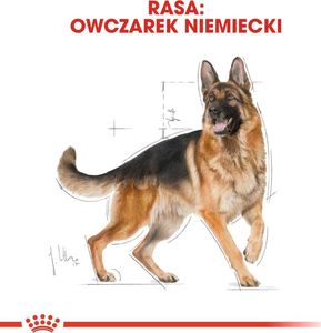 Royal Canin ROYAL CANIN German Shepherd Adult 11kg karma sucha dla psów dorosłych rasy owczarek niemiecki 10