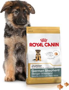 Royal Canin ROYAL CANIN German Shepherd Junior 12kg karma sucha dla szczeniąt do 15 miesiąca, rasy owczarek niemiecki + ROYAL CANIN Educ 10x50g 2