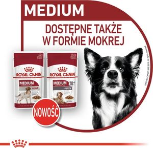 Royal Canin ROYAL CANIN Medium Ageing 10+ 2x15kg karma sucha dla psów dojrzałych po 10 roku życia, ras średnich 6