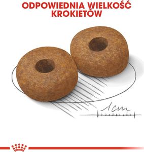 Royal Canin ROYAL CANIN Medium Ageing 10+ 2x15kg karma sucha dla psów dojrzałych po 10 roku życia, ras średnich 8