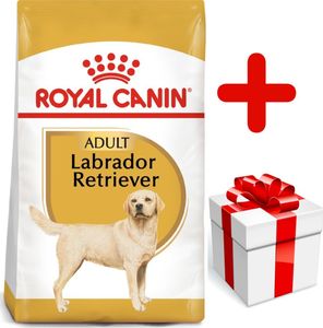 Royal Canin ROYAL CANIN Labrador Retriever Adult 12kg karma sucha dla psów dorosłych rasy labrador retriever + niespodzianka dla psa GRATIS! 1