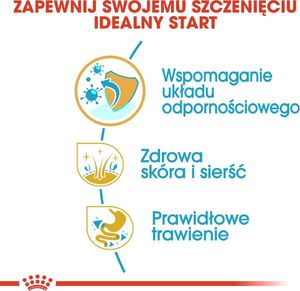 Royal Canin ROYAL CANIN Golden Retriever Puppy 2x12kg karma sucha dla szczeniąt do 15 miesiąca, rasy golden retriever 7