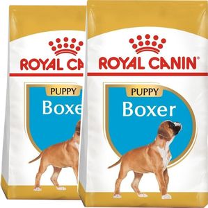 Royal Canin ROYAL CANIN Boxer Puppy 2x12kg karma sucha dla szczeniąt do 15 miesiąca, rasy bokser 1