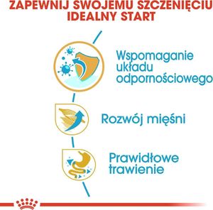 Royal Canin ROYAL CANIN Boxer Puppy 2x12kg karma sucha dla szczeniąt do 15 miesiąca, rasy bokser 8