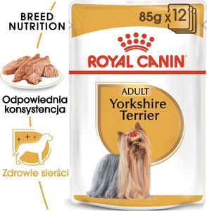 Royal Canin ROYAL CANIN Yorkshire Terrier Adult 24x85g karma mokra - pasztet, dla psów dorosłych rasy yorkshire terrier 1