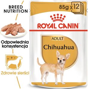 Royal Canin ROYAL CANIN Chihuahua Adult 24x85g karma mokra - pasztet, dla psów dorosłych rasy chihuahua 1