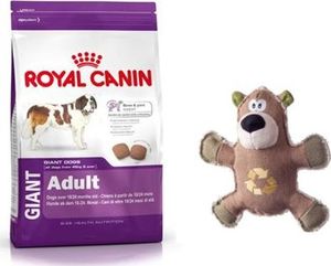 Royal Canin ROYAL CANIN Giant Adult 15kg karma sucha dla psów dorosłych, od 18/24 miesiąca życia, ras olbrzymich + niedźwiedź pluszowy 1
