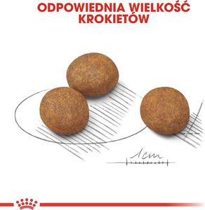 Royal Canin ROYAL CANIN Maxi Puppy 15kg 6