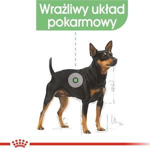 Royal Canin ROYAL CANIN CCN Digestive Care 12x85g karma mokra - pasztet dla psów dorosłych o wrażliwym przewodzie pokarmowym 6