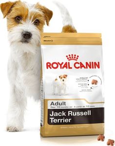 Royal Canin ROYAL CANIN Jack Russell Terrier Adult 7,5kg karma sucha dla psów dorosłych rasy jack russel terrier + niespodzianka dla psa GRATIS! 3